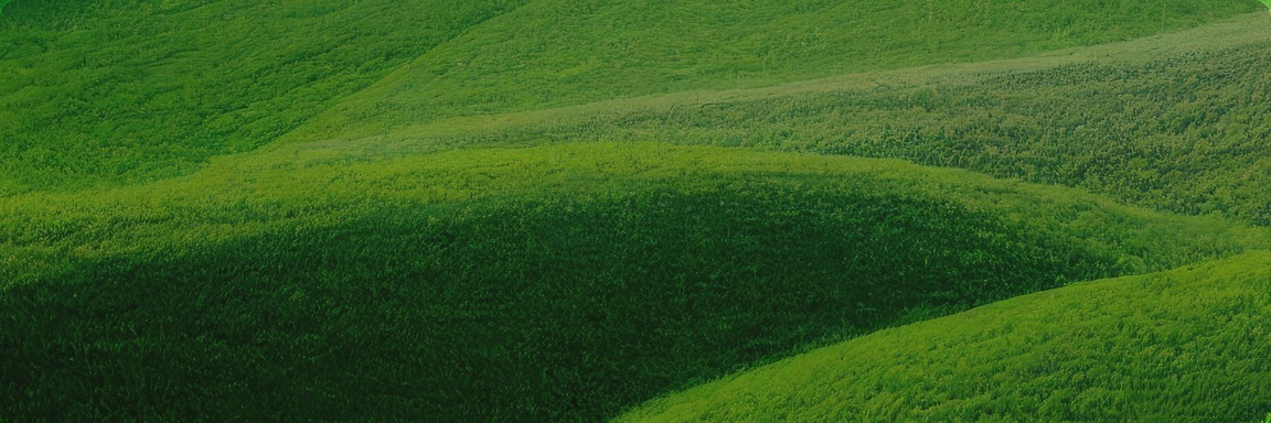 KS凯时·(中国区)官方网站