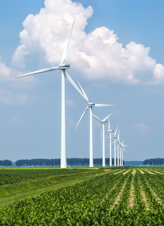 KS凯时·(中国区)官方网站